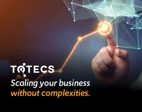 How to Scale a B2B eCommerce Business with TOTECS