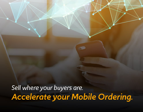 How to Scale a B2B eCommerce Business with TOTECS